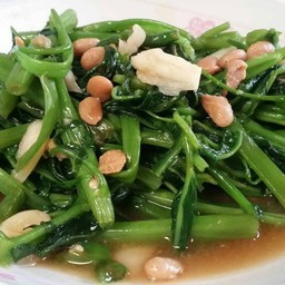 ผักบุ้งน้ำมันหอย