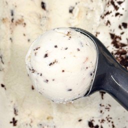 ชังกี้มังกี้