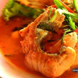 ปลาคังฉู่ฉี่