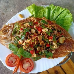 ปลาทับทิมลุยสวน