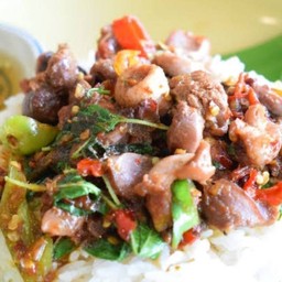 กระเพราเครื่องในไก่ ราดข้าว