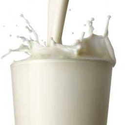 นมสด (ร้อน)