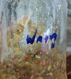 น้ำพริกปลาทู+ผักสด