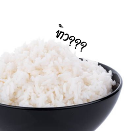 กะเพรา Night nice