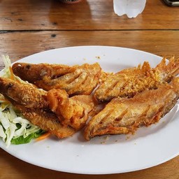 ปลาเนื้ออ่อนทอดน้ำปลา