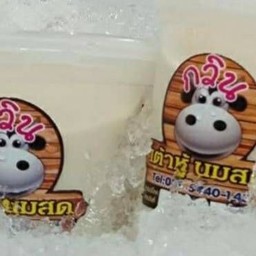 กวินเต้าหู้นมสด