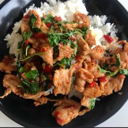 เมนูผัดกระเพรา ราดข้าว