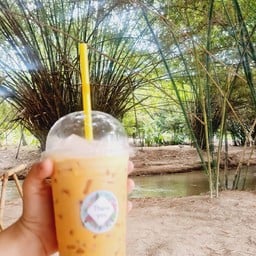 แคมป์ปิ้งบ้านเพื่อน