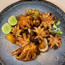 Grilled Baby Octopus