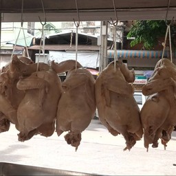 ไก่1 ตัว