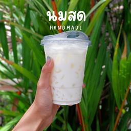 นมสดเย็น