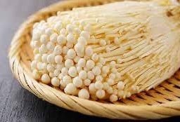 เห็ดเข็มทอง