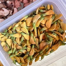 คุณแม่ลูกหก ข้าวไข่เจียวทรงเครื่อง -