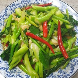 คะน้าผักน้ำมันหอย