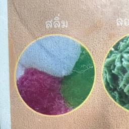 ฉัตรพร -