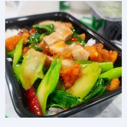 ผัดคะน้าหมูกรอบราดข้าว