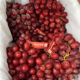 องุ่นแดง.  ไร้เมล็ด. กิโลละ