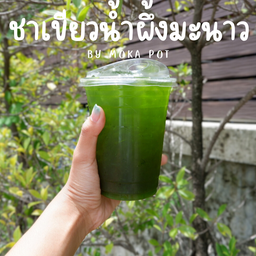 ชาเขียวน้ำผึ้งมะนาวเย็น