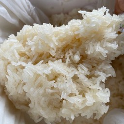 ข้าวเหนียวเปล่า