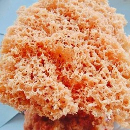 ข้าวเม่าทอดสูตรโบราณ 8 ลูก 2 แพ(เริ่มขาย11โมงคะ)