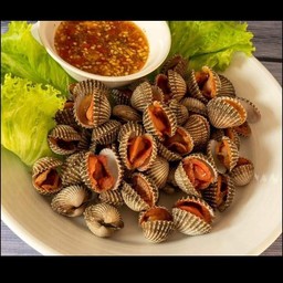 ร้านเจ๊โมหอยแครงลวก