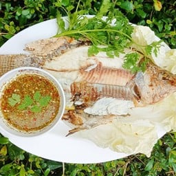 ครัวริมบ่อ แม่โจ้