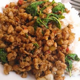 ผัดกระเพราหมูสับ  (กับข้าว)