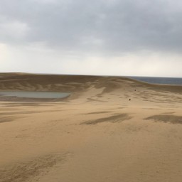 Tottori Sand Dunes