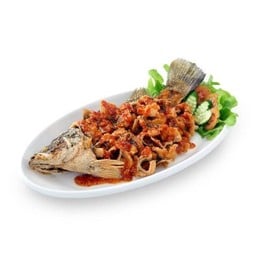 L ปลากระพงสามรส (ตัว)