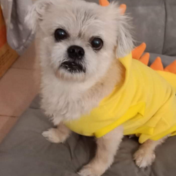 MENU_856237Em_1658638536