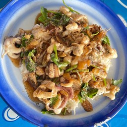 หมึกผัดกระเทียม