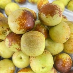 พุทราช็อกโกแลต (พุทราจีน)
