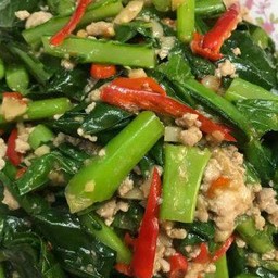คะน้าน้ำมันหอย