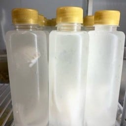 น้ำมะพร้าวน้ำหอม 100%