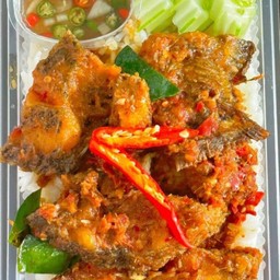 ข้าวปลาทอดผัดพริกแกง