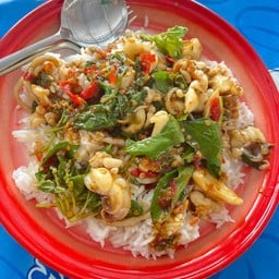 ใช้หนวดหมึกผัดนะจ๊ะ