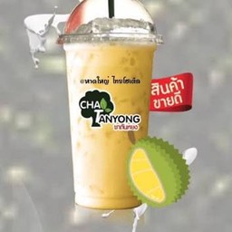 นมสดทุเรียน