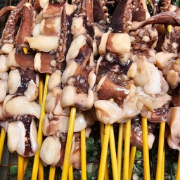 วัยรุ่นหมึกย่าง -