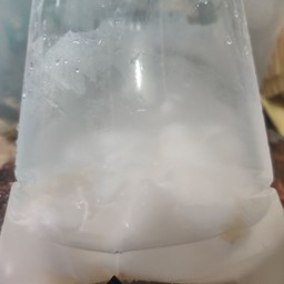 มะพร้าวน้ำหอมสด