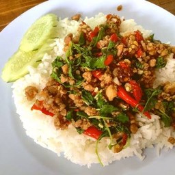ข้าวกะเพรา หมูสับ