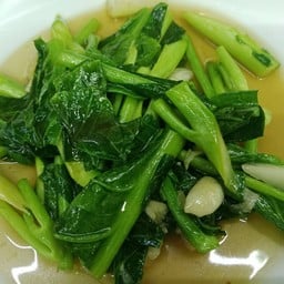 คะน้าน้ำมันหอย