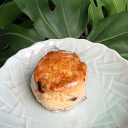 สคอนแครนเบอรี่