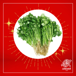 ผักชีไทย 3 ต้น