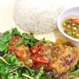 กระเพรา ปลากระพง ราดข้าว