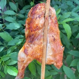 ไก่ย่างครึ้งตัว