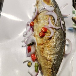 ปลาทูมัน