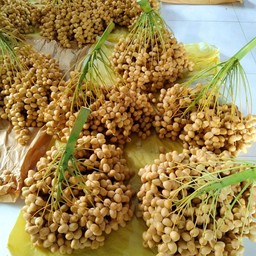 Saichon kitchen