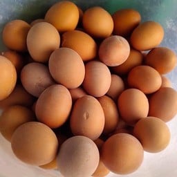 ไข่ต้มสุก