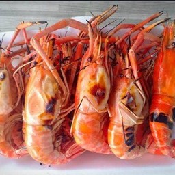 กุ้งเผา 1 ถาด 5 ตัว