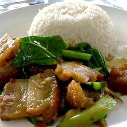 ข้าวคะน้าหมูกรอบบ